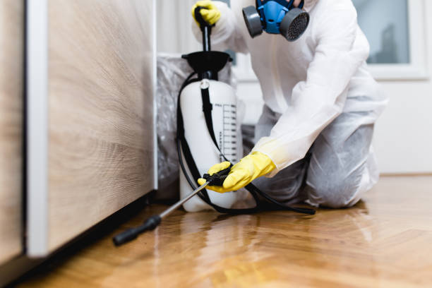Best Rat Extermination Near Me  in Carolina Beach, NC