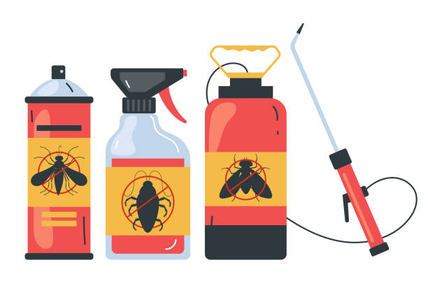 Trusted Carolina Beach, NC Pest Control Experts